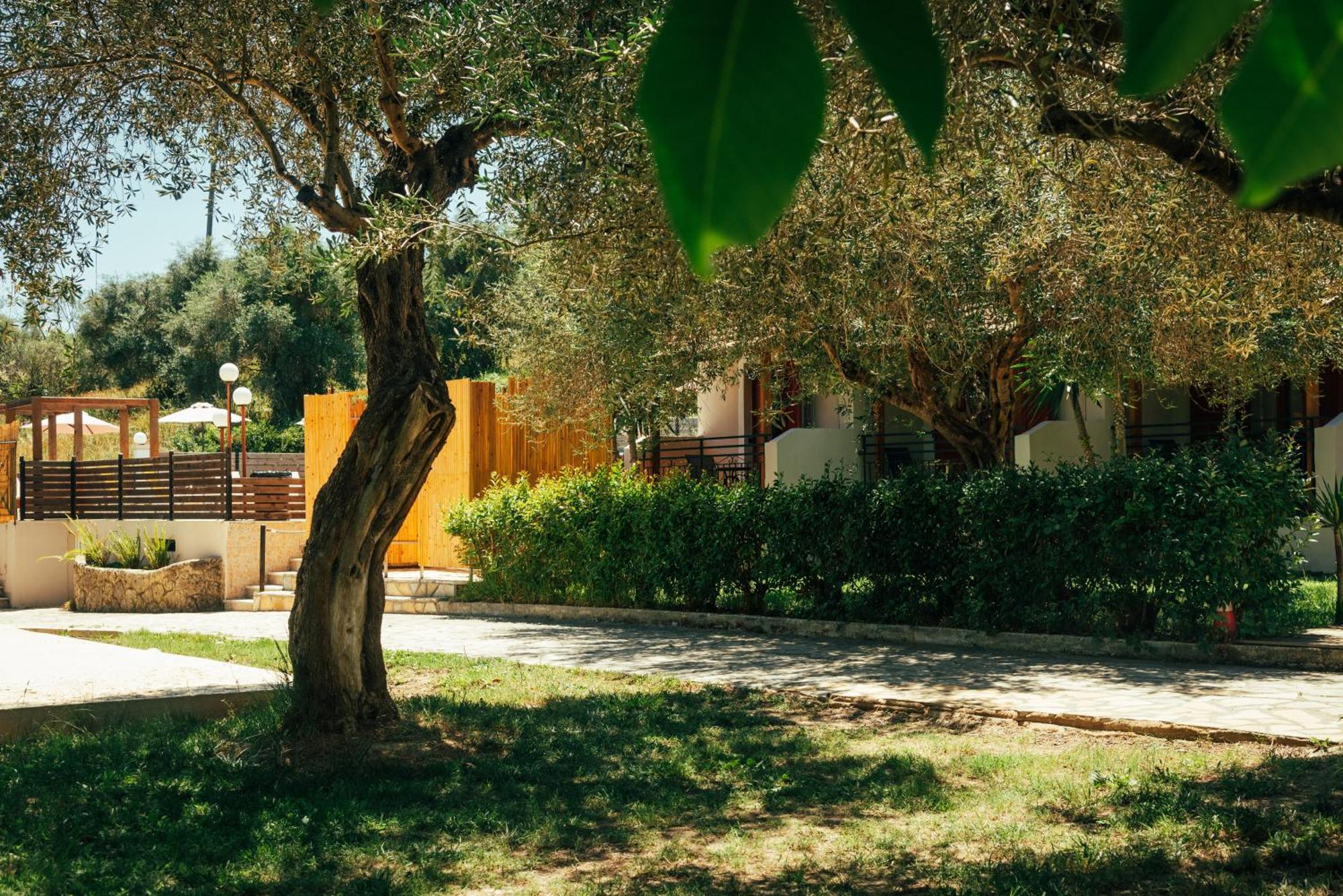 Kávos Kalypso Studio Resorts المظهر الخارجي الصورة